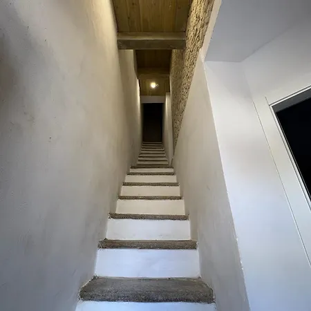 Il Palazzo Degli Artisti *