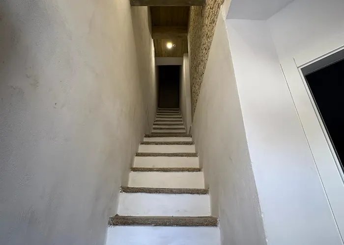 Il Palazzo Degli Artisti *